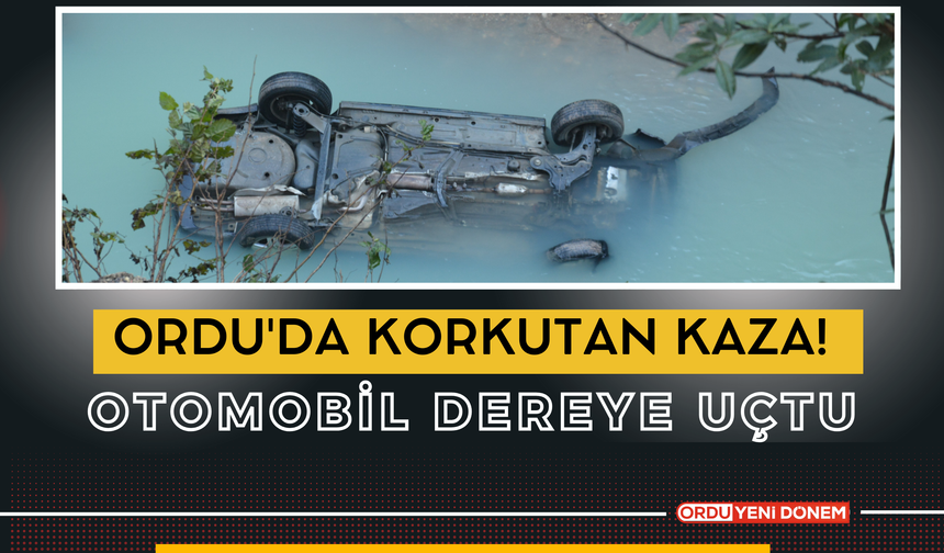 Ordu'da Korkutan Kaza! Otomobil Dereye Uçtu!