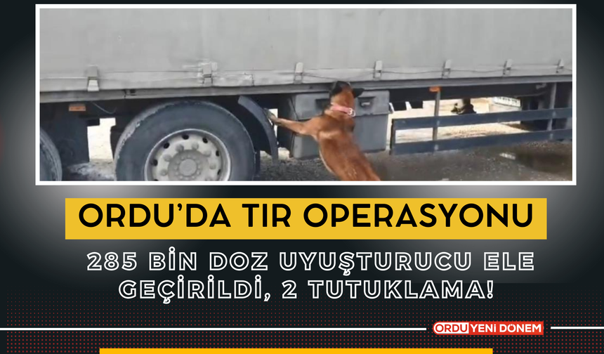 Ordu’da Tır Operasyonu: 285 Bin Doz Uyuşturucu Ele Geçirildi, 2 Tutuklama!