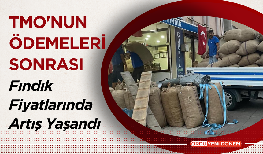 TMO'nun Ödemeleri Sonrası Fındık Fiyatlarında Artış Yaşandı