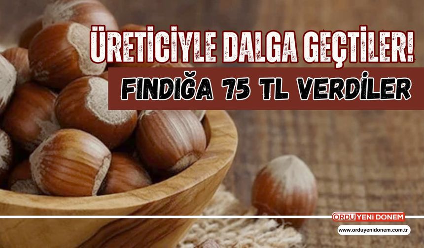 Üreticiyle Dalga Geçtiler! Fındığa 75 TL Verdiler