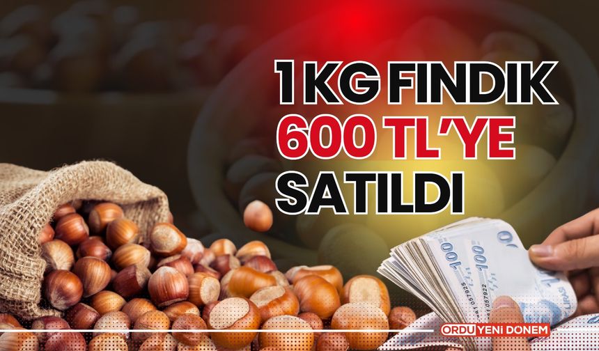 1 KG Fındık 600 TL’ye Satıldı