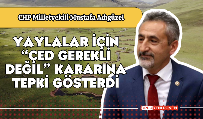 Yaylalar İçin “ÇED Gerekli Değil” Kararına Tepkiler Büyüyor