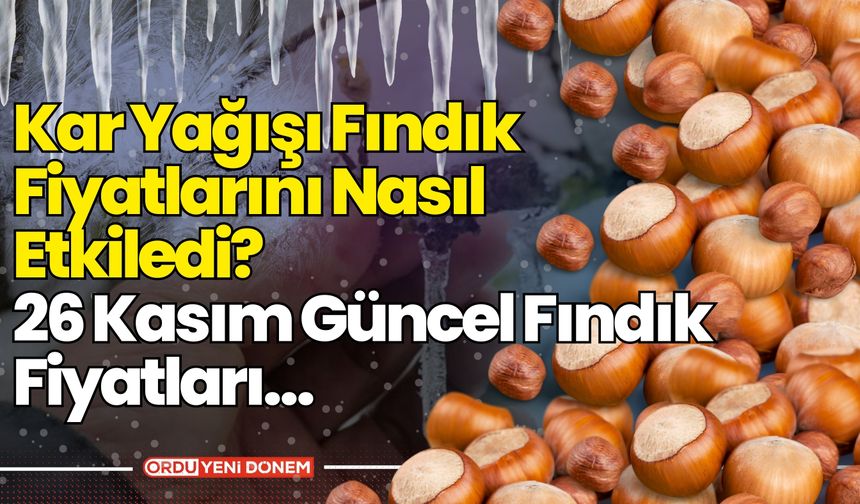 Kar Yağışı Fındık Fiyatlarını Nasıl Etkiledi? 26 Kasım Güncel Fındık Fiyatları…