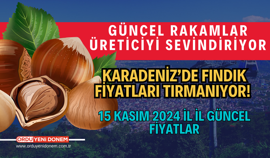 Fındık Fiyatları Yükselişte! 15 Kasım 2024 Güncel Fiyatlar