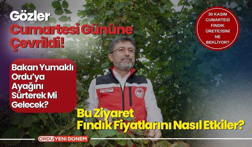 30 Kasım Cumartesi, Fındık Üreticisini Ne Bekliyor?