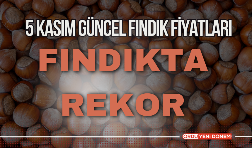 Fındıkta Neler Oluyor? 5 Kasım Güncel Fındık Fiyatları