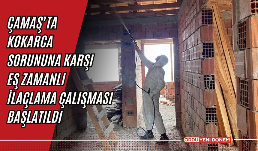 Çamaş’ta Kokarca Sorununa Karşı Eş Zamanlı İlaçlama Çalışması Başlatıldı