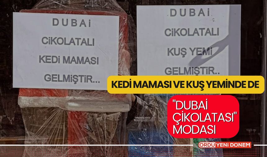 Dubai Çikolatası Çılgınlığına İlginç Yansımalar Devam Ediyor!