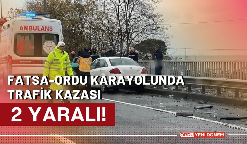 Fatsa-Ordu Karayolunda Trafik Kazası: 2 Yaralı