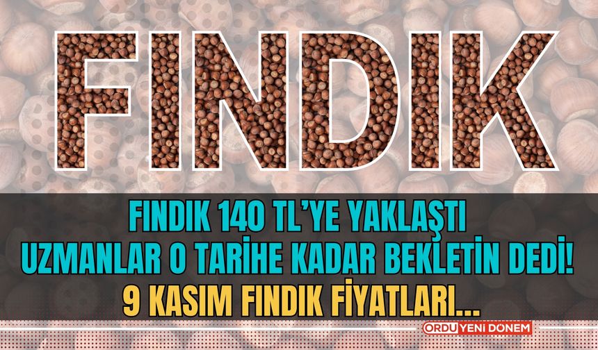 Fındık 140 TL’ye Yaklaştı, Uzmanlar O Tarihe Kadar Bekletin Dedi! 9 Kasım Fındık Fiyatları…