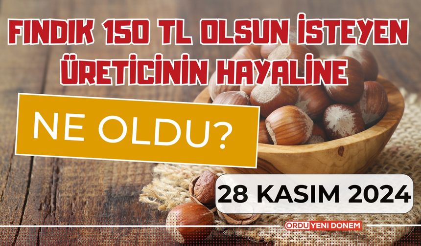 Fındık 150 TL Olsun İsteyen Üreticinin Hayaline Ne Oldu? 28 Kasım Güncel Fındık Fiyatları…