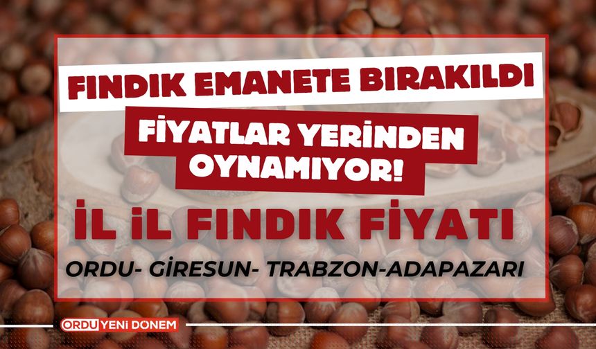 Fındık Emanete Bırakıldı, Fiyatlar Yerinden Oynamıyor! 12 Kasım İl İl Fındık Fiyatları…