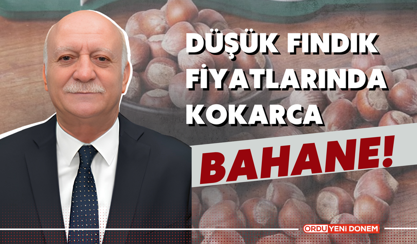 Düşük Fındık Fiyatlarında Kokarca Bahane!