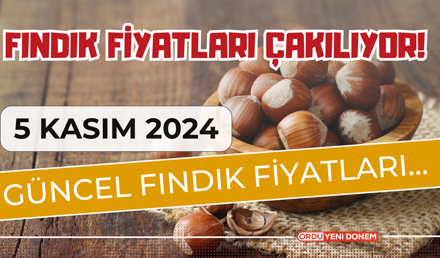 Fındık Fiyatları Çakılıyor! 6 Kasım Serbest Piyasada Fındık Fiyatları..