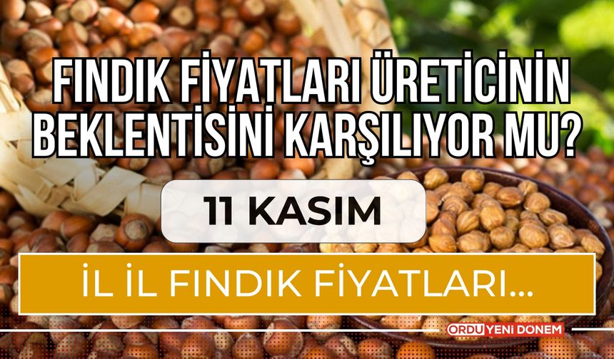 Fındık Fiyatları Üreticinin Beklentisini Karşılıyor Mu? 11 Kasım İl İl Fındık Fiyatları…