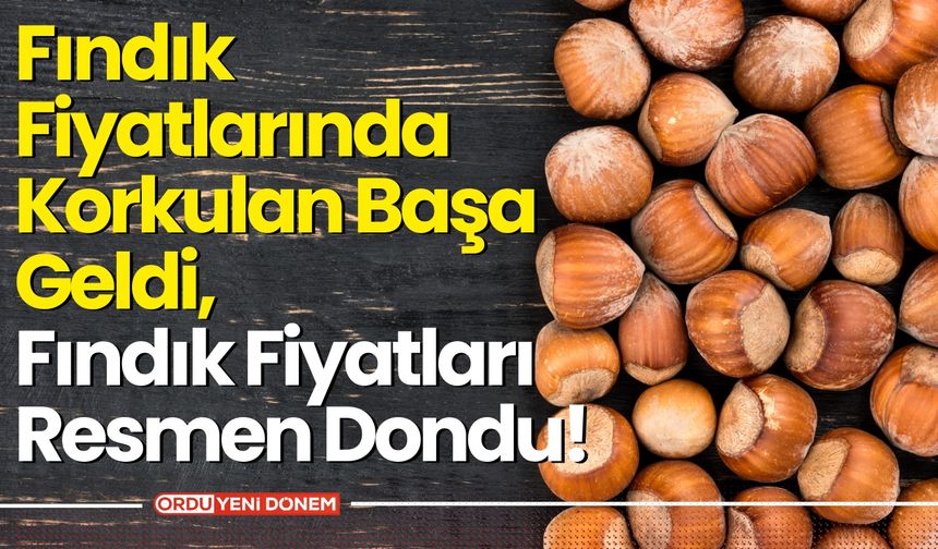 Fındık Fiyatlarında Korkulan Başa Geldi, Fındık Fiyatları Resmen Dondu!