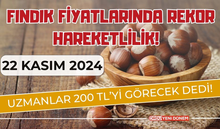 Fındık Fiyatlarında Rekor Hareketlilik! Uzmanlar 200 TL’yi Görecek Dedi! 22 Kasım Fındık Fiyatları…