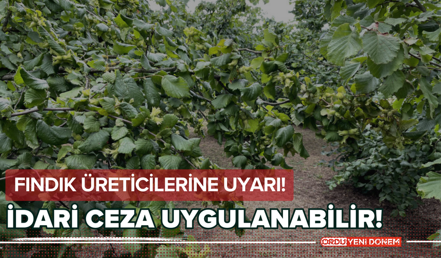 Fındık Üreticilerine Uyarı! İdari Ceza Uygulanabilir!