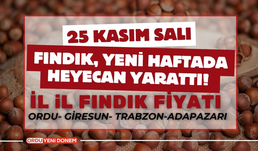 Fındık, Yeni Haftada Heyecan Yarattı! 25 Kasım Güncel Fındık Fiyatları?