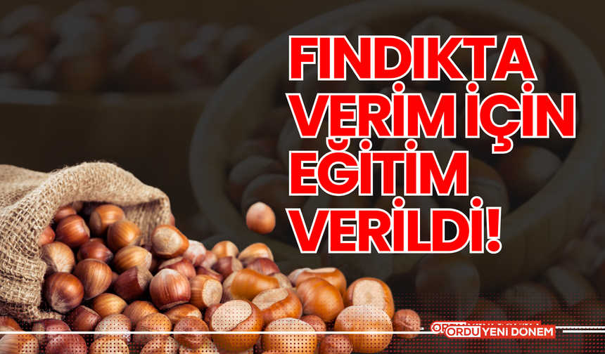 Fındıkta Verim İçin Eğitim Verildi!