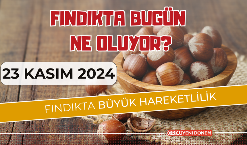 Üretici Direniyor! 200 TL Olmalı! 23 Kasım Fındık Fiyatları