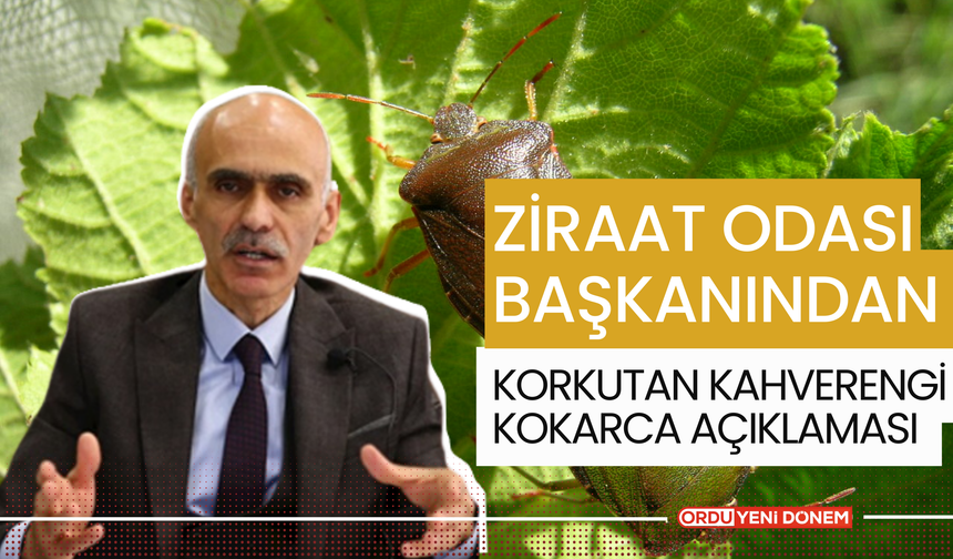 Ziraat Odası Başkanından Korkutan Kahverengi Kokarca Açıklaması