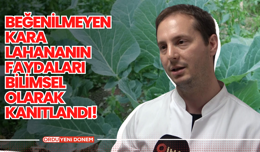 Beğenilmeyen Kara Lahananın Faydaları Bilimsel Olarak Kanıtlandı!