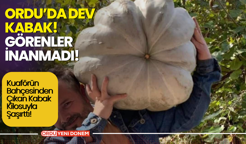 Ordu’da Dev Kabak! Görenler İnanmadı! Kuaförün Bahçesinden Çıkan Dev Kabak, Kilosuyla Şaşırttı!