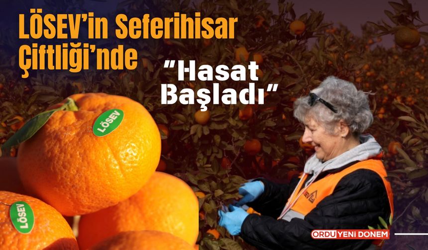 LÖSEV’in Satsuma Mandalinaları: Dalından Sofralara Doğallık ve Sağlık