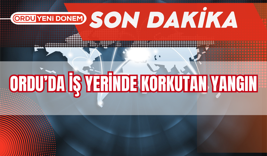 Ordu'da İş Yerinde Korkutan Yangın!