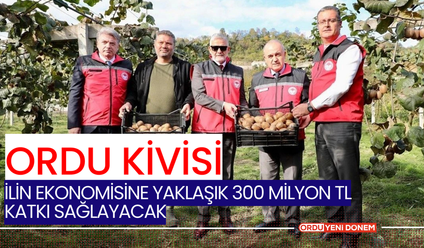 Ordu kivisi, ilin ekonomisine yaklaşık 300 milyon TL katkı sağlayacak