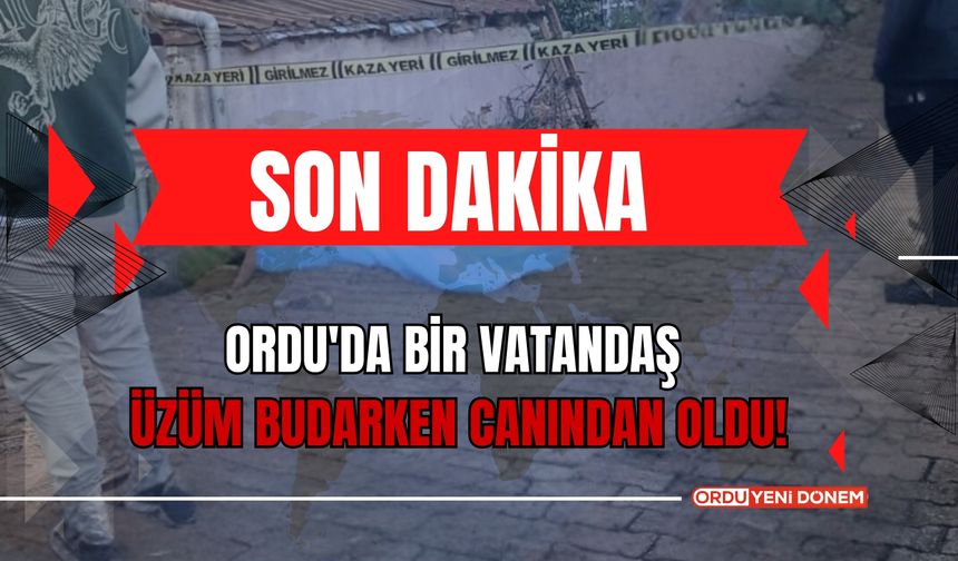 Ordu'da Bir Vatandaş Üzüm Budarken Canından Oldu!