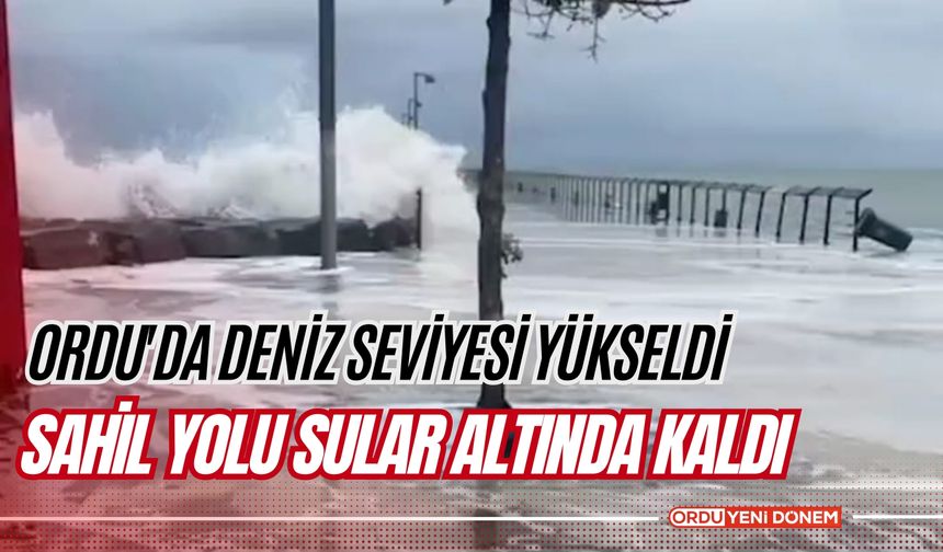 Ordu'da Deniz Seviyesi Yükseldi: Sahil Yolu Sular Altında Kaldı