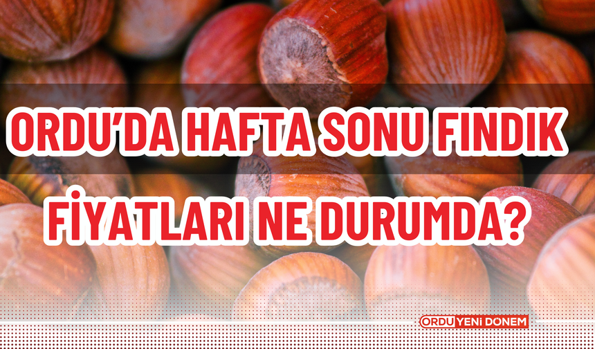 Ordu’da Hafta Sonu Fındık Fiyatları Ne Durumda?