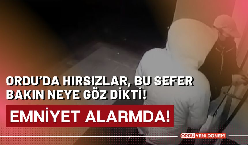 Ordu’da, hırsızlar bu sefer bakın neye göz dikti!