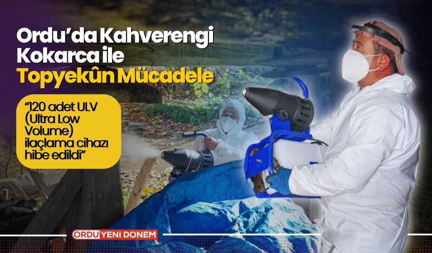 Ordu’da Kahverengi Kokarca ile Topyekûn Mücadele