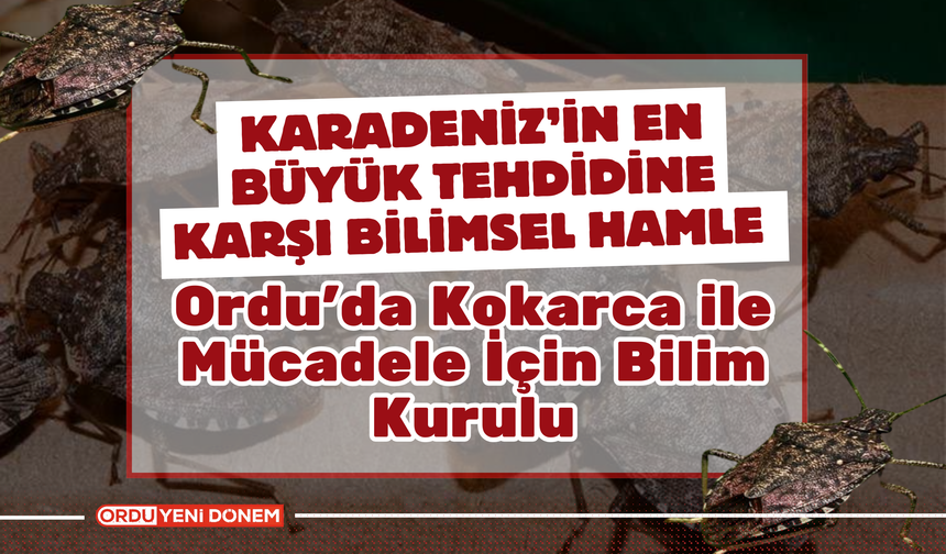 Ordu’da Kokarca ile Mücadele İçin Bilim Kurulu Bir Araya Geldi!