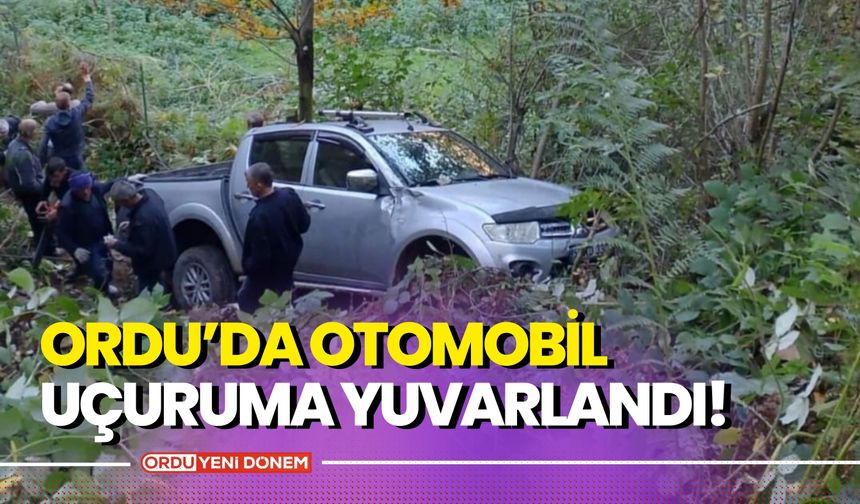 Ordu’da Otomobil Uçuruma Yuvarlandı