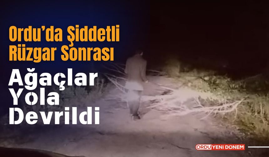 Ordu’da Şiddetli Rüzgar Sonrası Ağaçlar Yola Devrildi