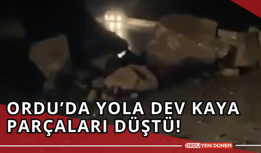 Ordu’da Yola Dev Kaya Parçaları Düştü! Sürücüler Endişe Yaşadı!