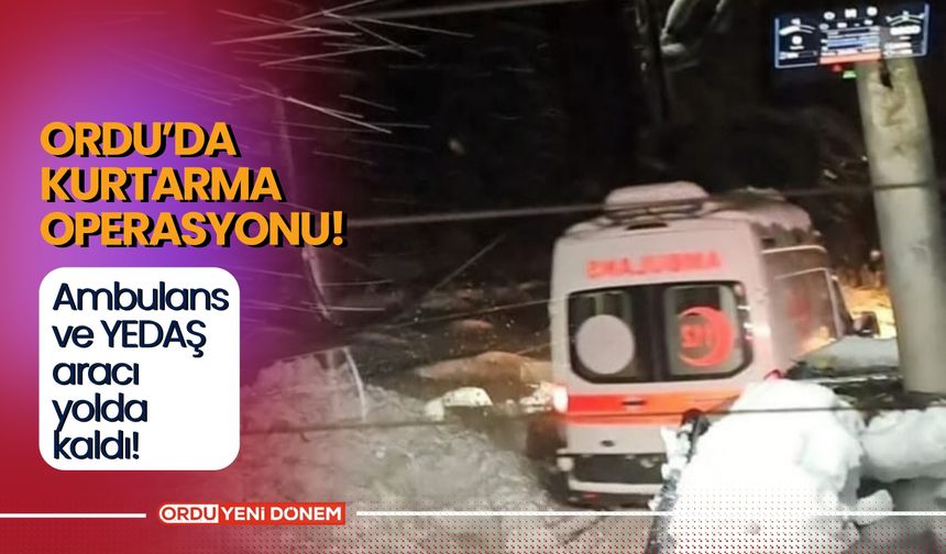 Ordu'da, Zorlu Hava Koşullarında Kurtarma Operasyonu