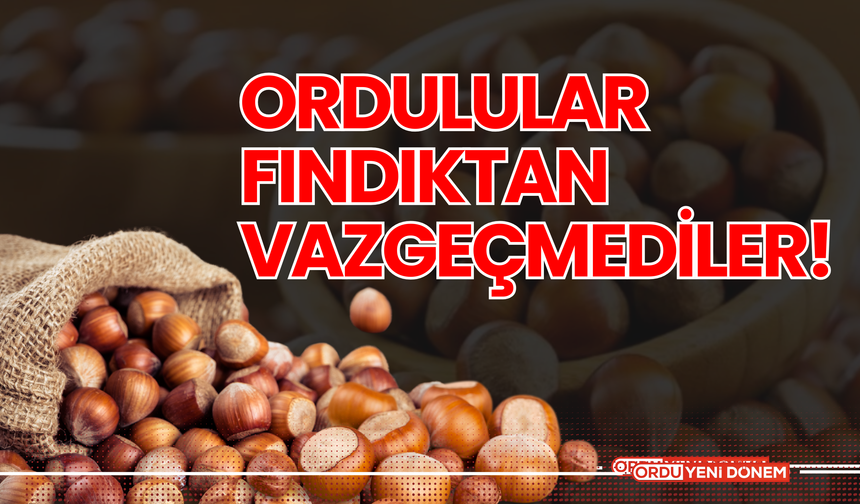 Ordulular Fındıktan Vazgeçmediler!