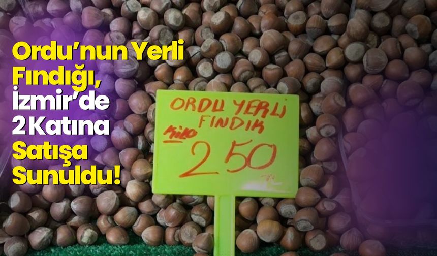 Ordu’nun Yerli Fındığı, İzmir’de 2 Katına Satışa Sunuldu! Vatandaş Sitem Etti!