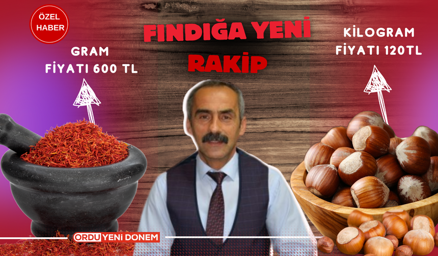 Ordu’da Fındık Üreticileri İçin Yeni Bir Yatırım Fırsatı: Gramı 600 TL!