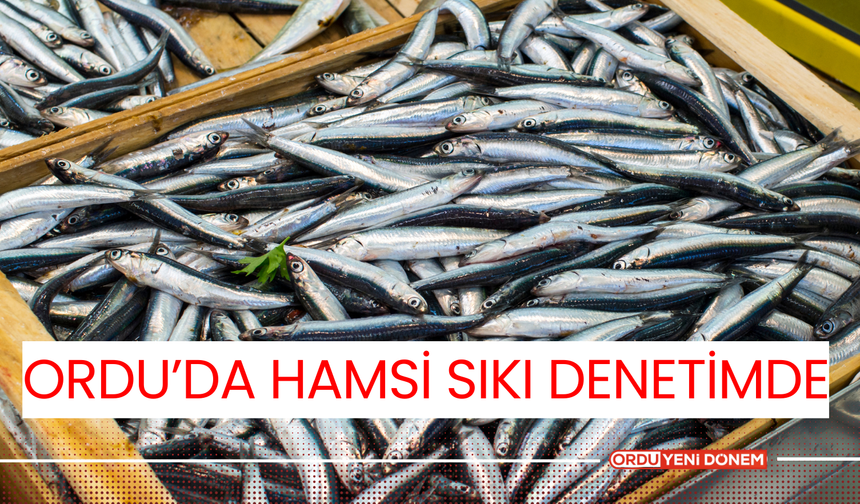 Ordu'da Hamsi Sıkı Denetimde!