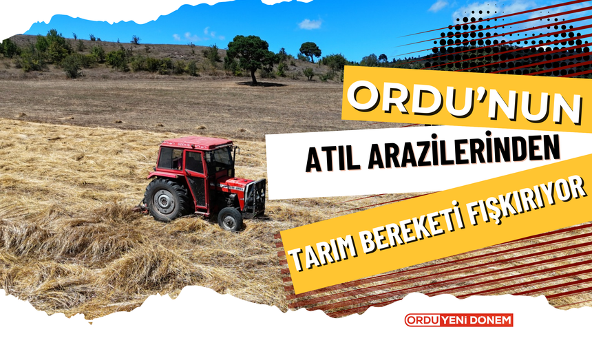 Ordu’nun Atıl Arazilerinden Tarım Bereketi Fışkırıyor