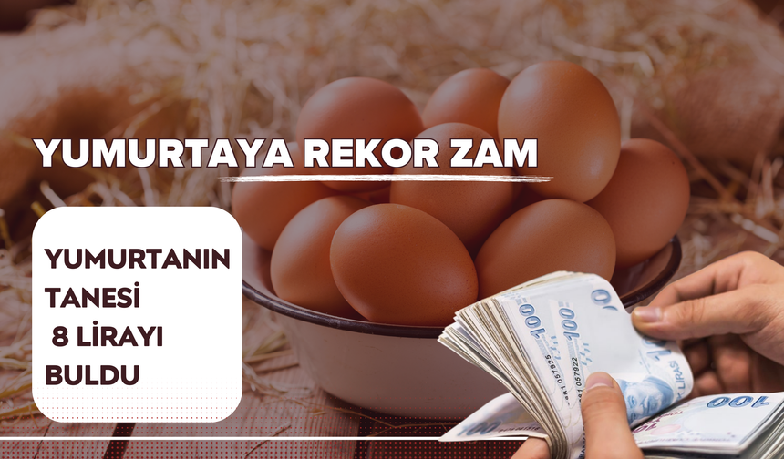 Yumurtaya Rekor Zam!