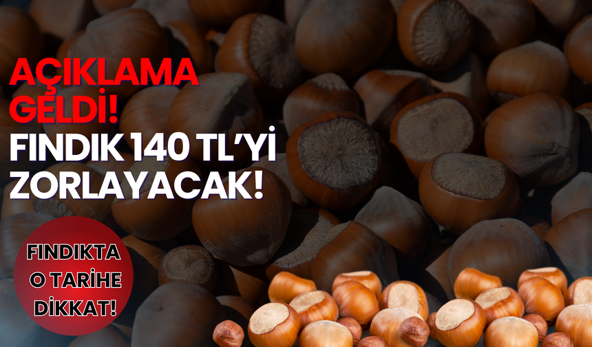 17 Aralık Serbest Piyasa Fındık Fiyatları…