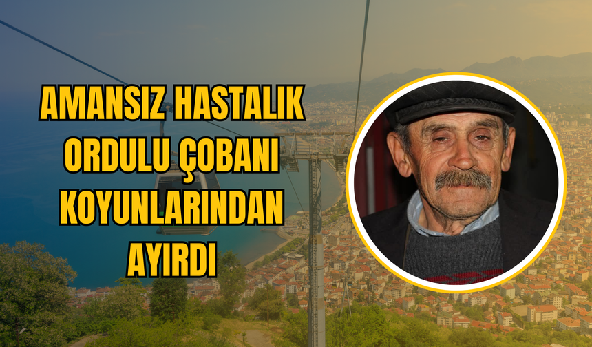 Amansız Hastalık, Ordulu Çobanı Koyunlarından Ayırdı!