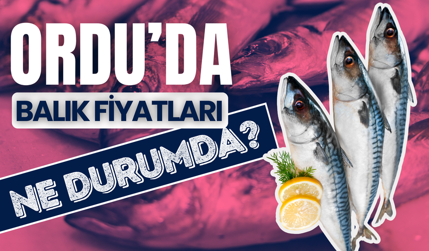 Ordu’da Balık Fiyatları Ne Durumda? 18 Aralık 2024